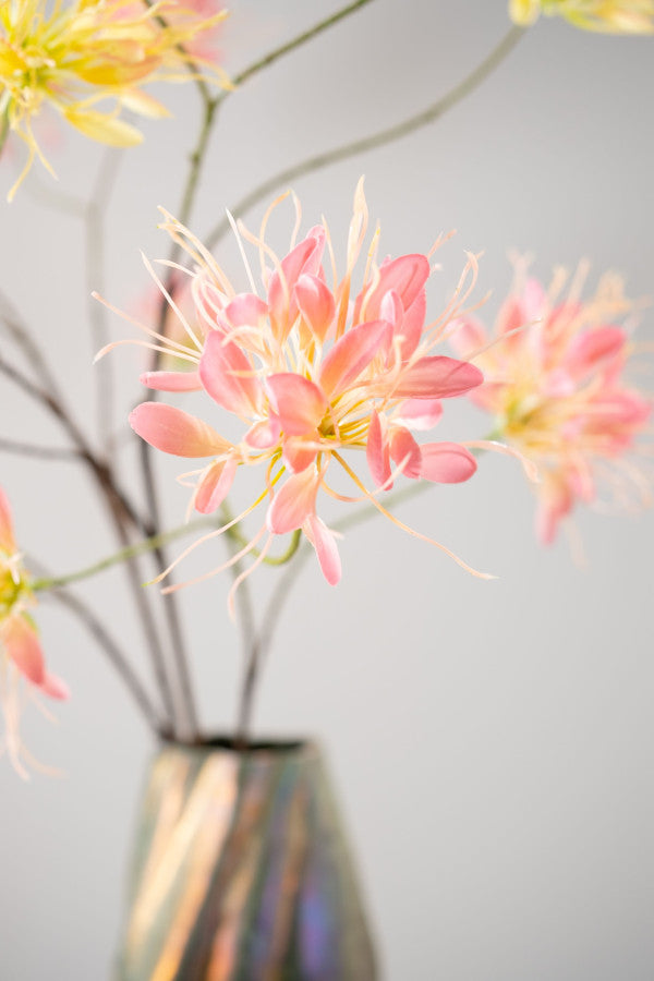Kamperfoelie tak oranje/roze – zijden bloem 94 cm – afbeelding 3