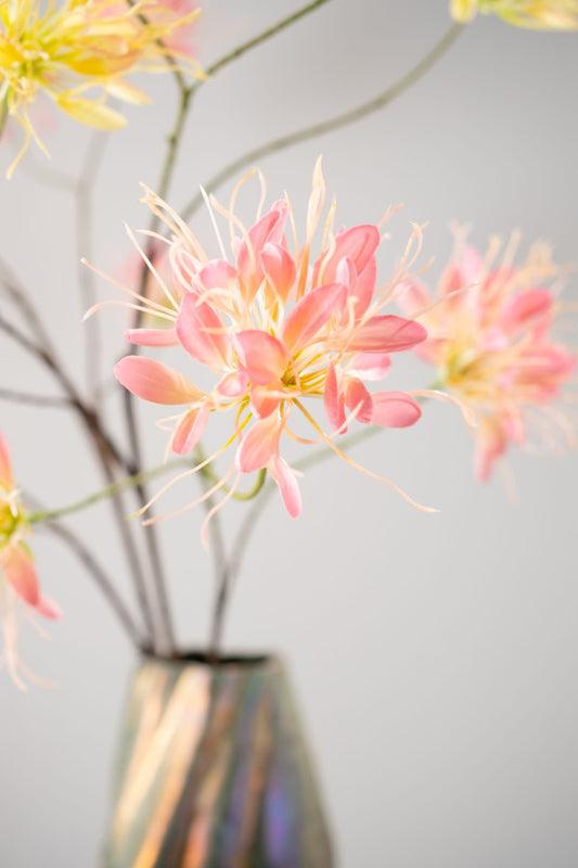 Kamperfoelie tak oranje/roze – zijden bloem 94 cm – afbeelding 3