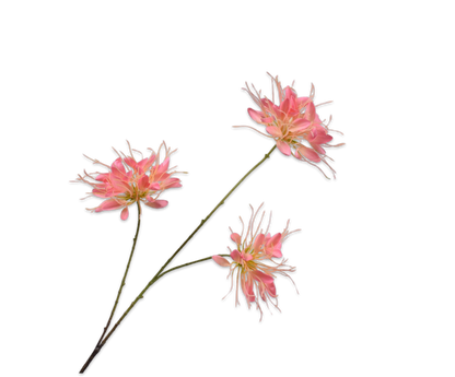 Kamperfoelie tak oranje/roze – zijden bloem 94 cm