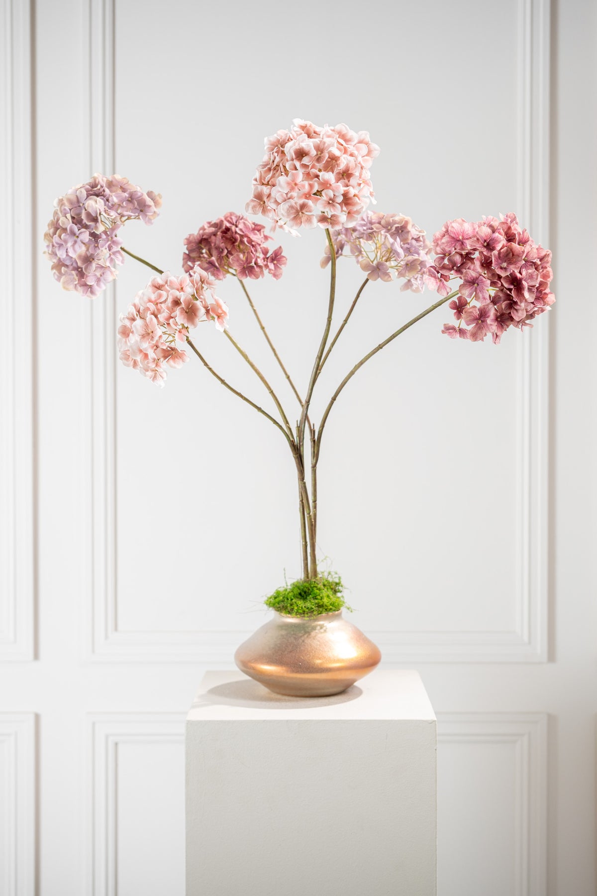Mauve hortensia tak in sfeerbeeld