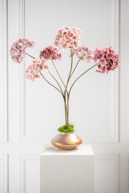 Mauve hortensia tak in sfeerbeeld