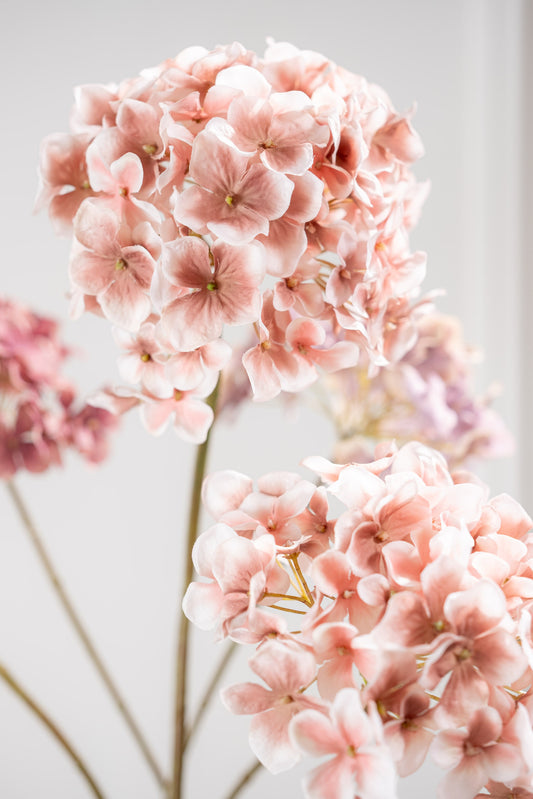 Mauve hortensia tak detail