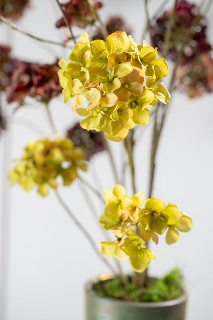 Zijden hortensia tak groen in vaas