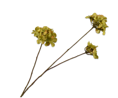 Hortensia tak groen – zijden bloem van Silk-ka, 85 cm