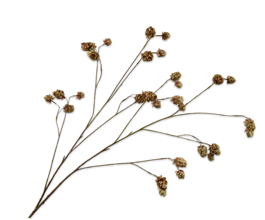 Hop tak bruin/groen – zijden bloem van Silk-ka, 109 cm