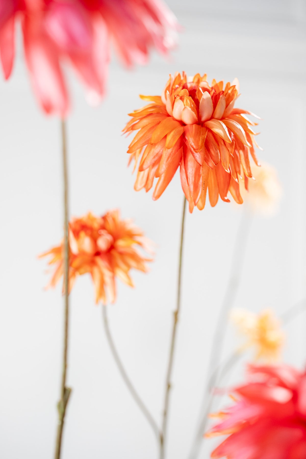 Zijden chrysant tak oranje in vaas