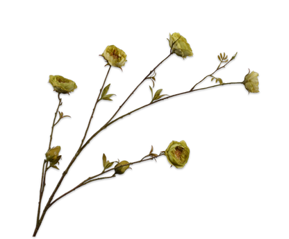 Roos tak groen – zijden bloem van Silk-ka, 117 cm
