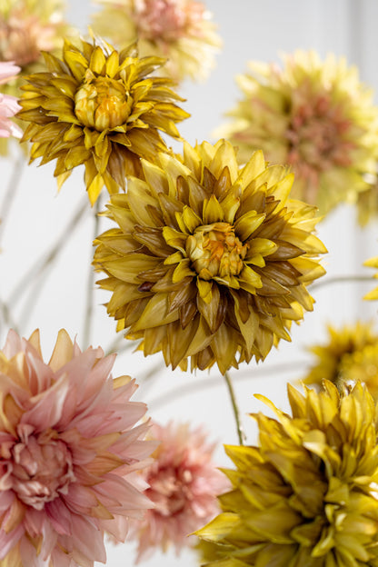 Zijden dahlia tak groen in vaas
