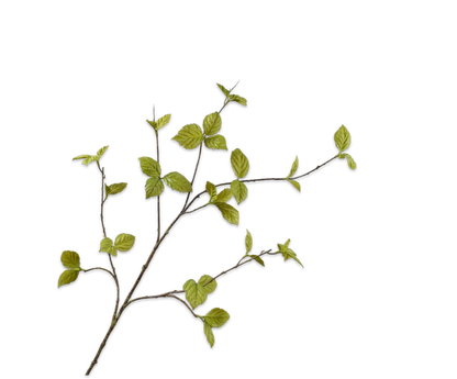 Bladtak groen 116 cm zijden tak Silk-ka