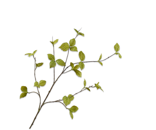 Bladtak groen 116 cm zijden tak Silk-ka
