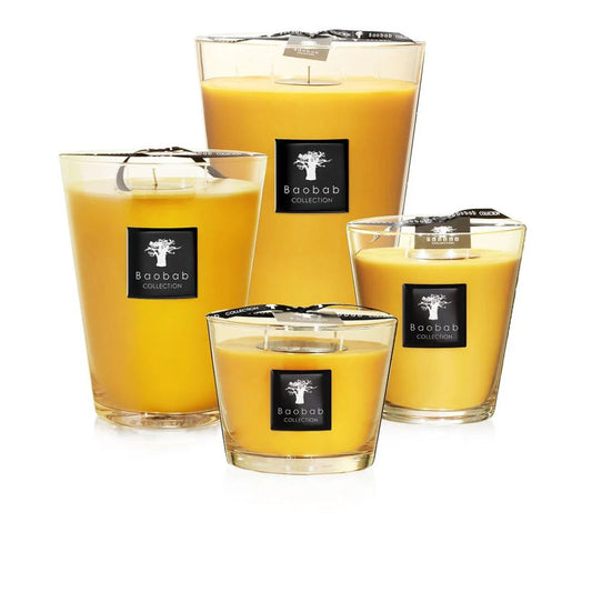Baobab All Seasons Zanzibar Spices Max 16 – alle formaten naast elkaar