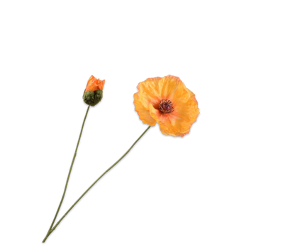 Klaproos tak geel – zijden bloem – afbeelding 2