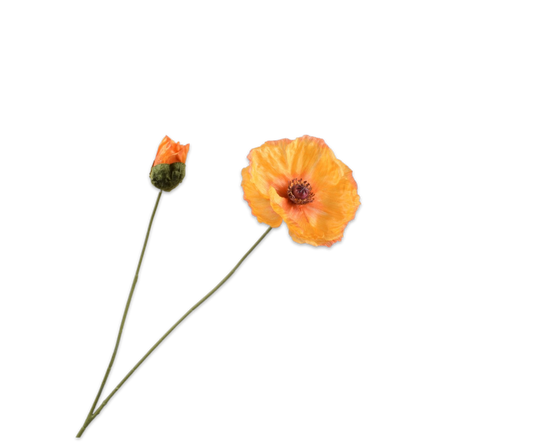 Klaproos tak geel – zijden bloem – afbeelding 2