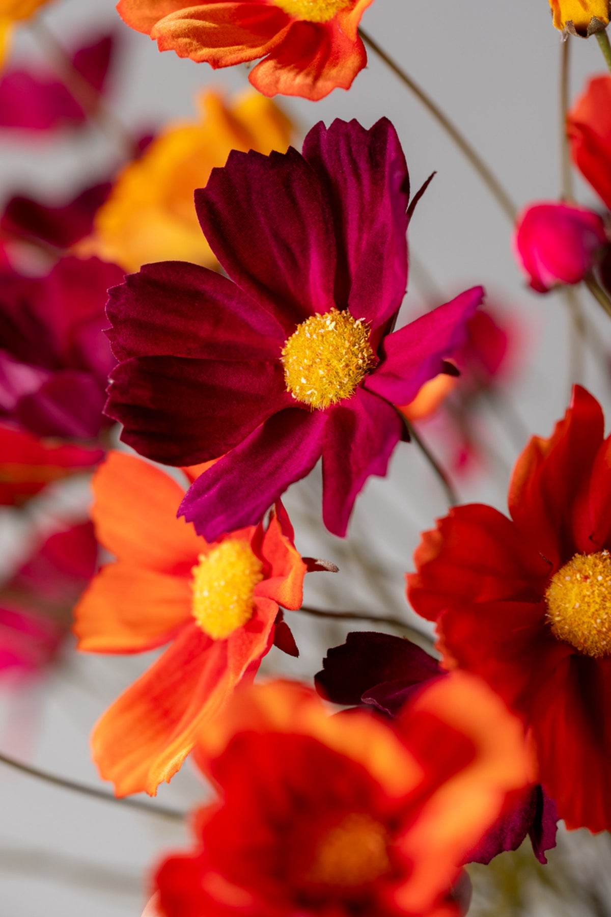 Zijden cosmos tak bordeaux van Silk-ka, close-up van de bloem