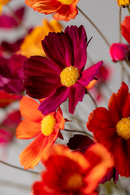 Zijden cosmos tak bordeaux van Silk-ka, close-up van de bloem