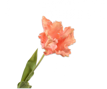 Zijden tulp perzik, 71 cm, van Silk-ka