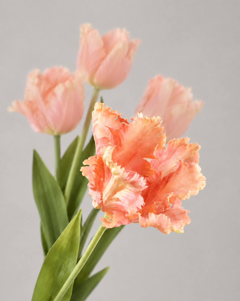 Zijden tulp perzik van Silk-ka, close-up van de bloem