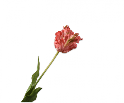 Zijden tulp roze, 71 cm, van Silk-ka
