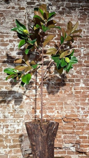 Magnolia tak 152 cm – zijden bloem groen 152 cm – afbeelding 2