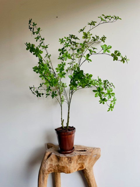 Zijden bladtak in koperkleurige pot – zijden plant 110 cm