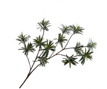 Bladtak Podocarpus – zijden bloem 109 cm