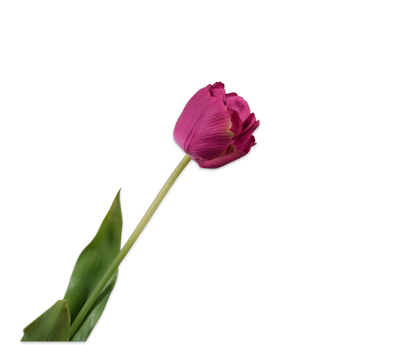 Zijden tulp beauty van Silk-ka, hele steel met blad